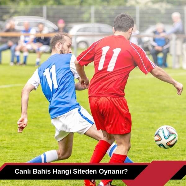 Canlı Bahis Hangi Siteden Oynanır